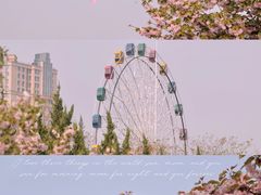 -渭滨公园