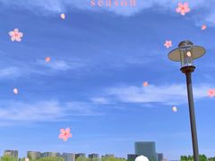 -大兴滨河森林公园