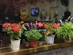 -晋宝章大同刀削面(月坛店)