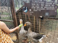 -意大利农场度假村