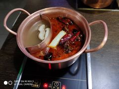 -老诚一锅羊蝎子(黄寺大街店)