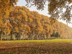 -河南省黄河迎宾馆