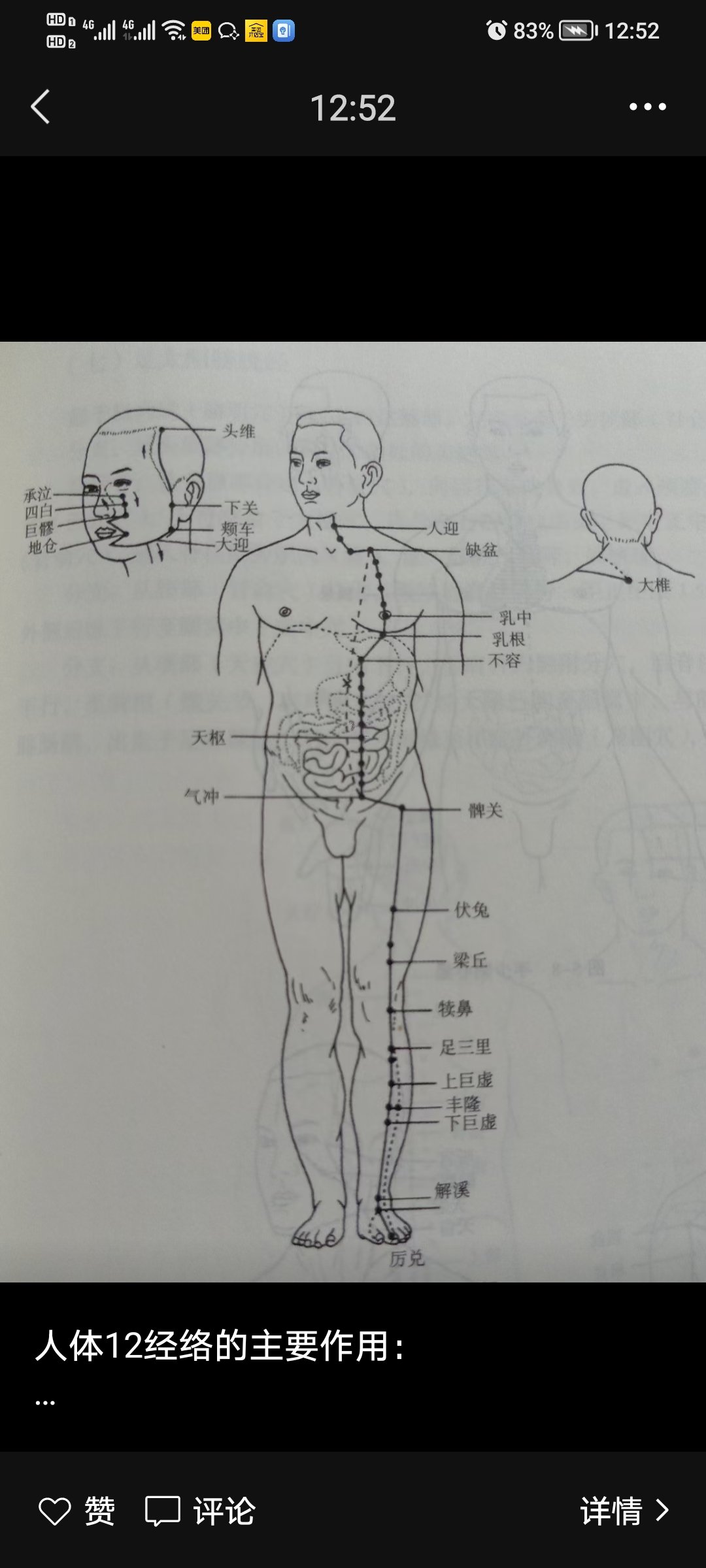 脾经作用图片