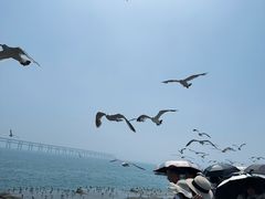 -星海广场