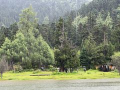 -金鼎雪山牦牛杂火锅(理县总店)