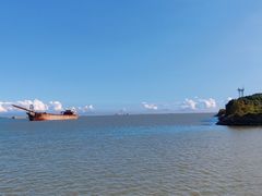 -大湾区中央湿地公园-十九涌