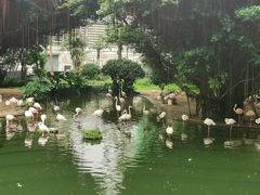 -九龙公园