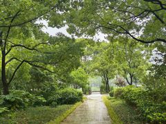 -新江湾城公园