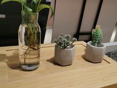 -炖物24章·顺时轻养茶(黄龙店)