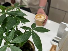 -% Arabica阿拉比卡咖啡(前滩太古里店)