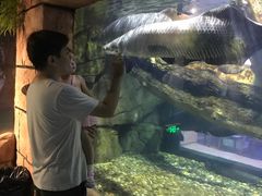 -苏州海洋馆