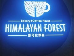 -喜马拉雅森HIMALAYAN FOREST