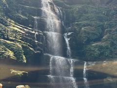 -碧峰峡风景区