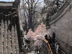 -潭柘寺景区