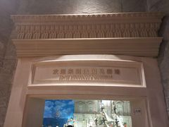-花之城
