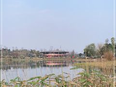 -桂溪生态公园