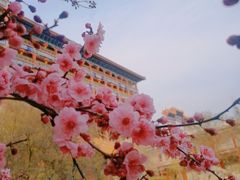 -大明幻境第一城