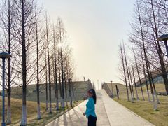-滆湖低碳生态公园