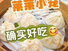 -莱莱小笼·乔艾