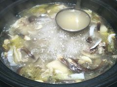 -探窝·竹笙椰子鸡(杨箕店)