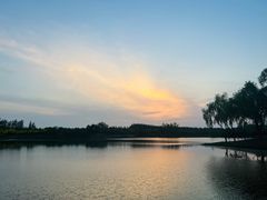 -东郊湿地公园