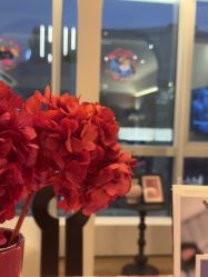 -栖SPA·ONDA ·美芙炫·海菲秀科技美肤中心