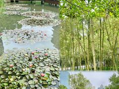 -新虹桥中心花园