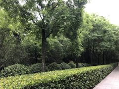 -唐城墙遗址公园