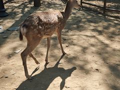 -南戴河国际娱乐中心