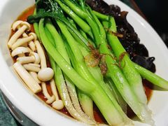-新白鹿餐厅(悠迈生活广场店)