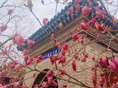 -红螺寺