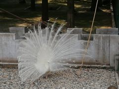 -南京金牛湖风景区