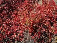 -百花人家(清水镇店)