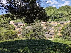 -杨家堂村