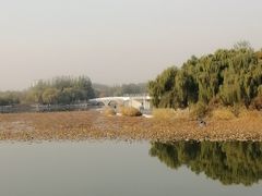 -大兴滨河森林公园