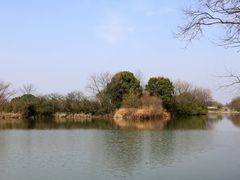 -西溪国家湿地公园