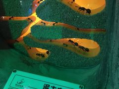 -佛山科学馆