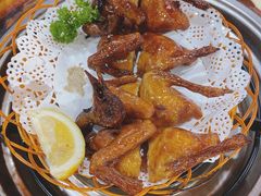 -一煲鸽