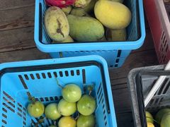 -海堤葡萄园中小学生研学基地