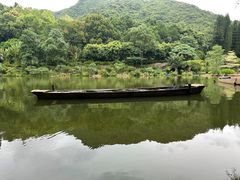 -深圳仙湖植物园