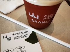 山楂-SAANCI山池咖啡(海上世界文化艺术中心店)