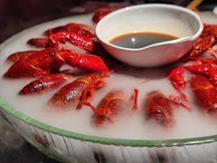 -红盔甲·小龙虾(人民广场店)