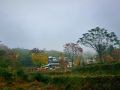 -塔川景区