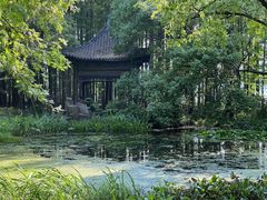 -东湖落雁景区