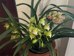 -义乌之心城市生活广场