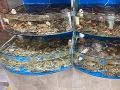 -蓝珊甄选海鲜自助·火锅大排档(近阿那亚店)