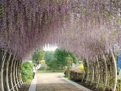 -同里国家湿地公园