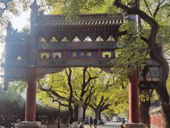 -北京国子监胡同