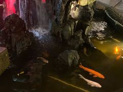 -荔城生鲜盛宴(番禺旗舰店)