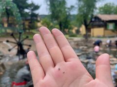 -黄金博物馆